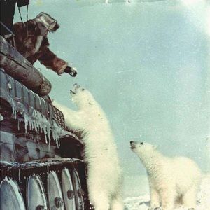 Meet your Posher, Myles